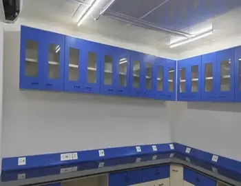 Wall Mounted Storage Cabinets